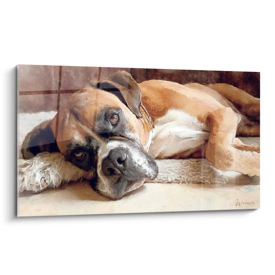 Tableau chien Boxer allongé sur carrelage, pelage fauve doré et blanc, regard paisible, tons chauds ocre et beige