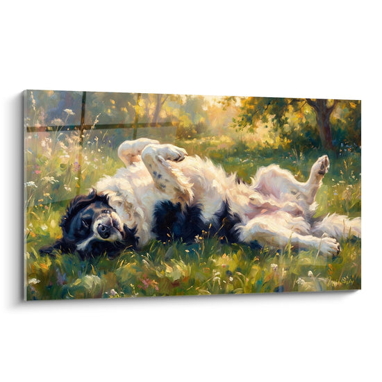 Tableau chien Terre-Neuve Landseer noir et blanc se roulant joyeusement dans herbe dorée lumière chaude