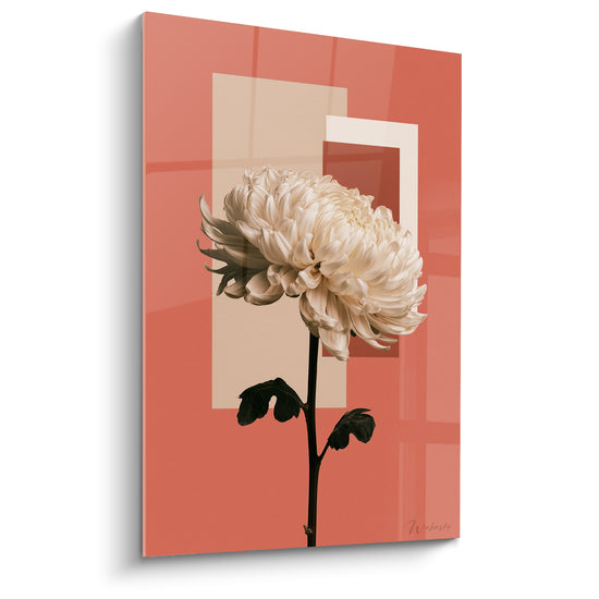 Tableau Chrysanthème blanc sur fond terracotta géométrique - Épanouissement silencieux - Edition Chrysanthème