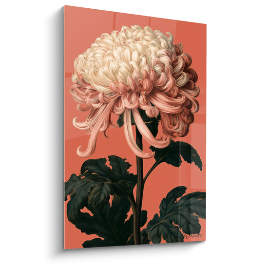 Tableau Chrysanthème ivoire et corail aux pétales bouclés - Éveil floral - Edition Chrysanthème