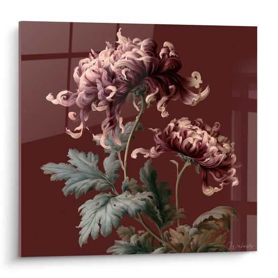 Chrysanthème aux pétales roses et bordeaux bouclés se déployant sur fond sombre veiné