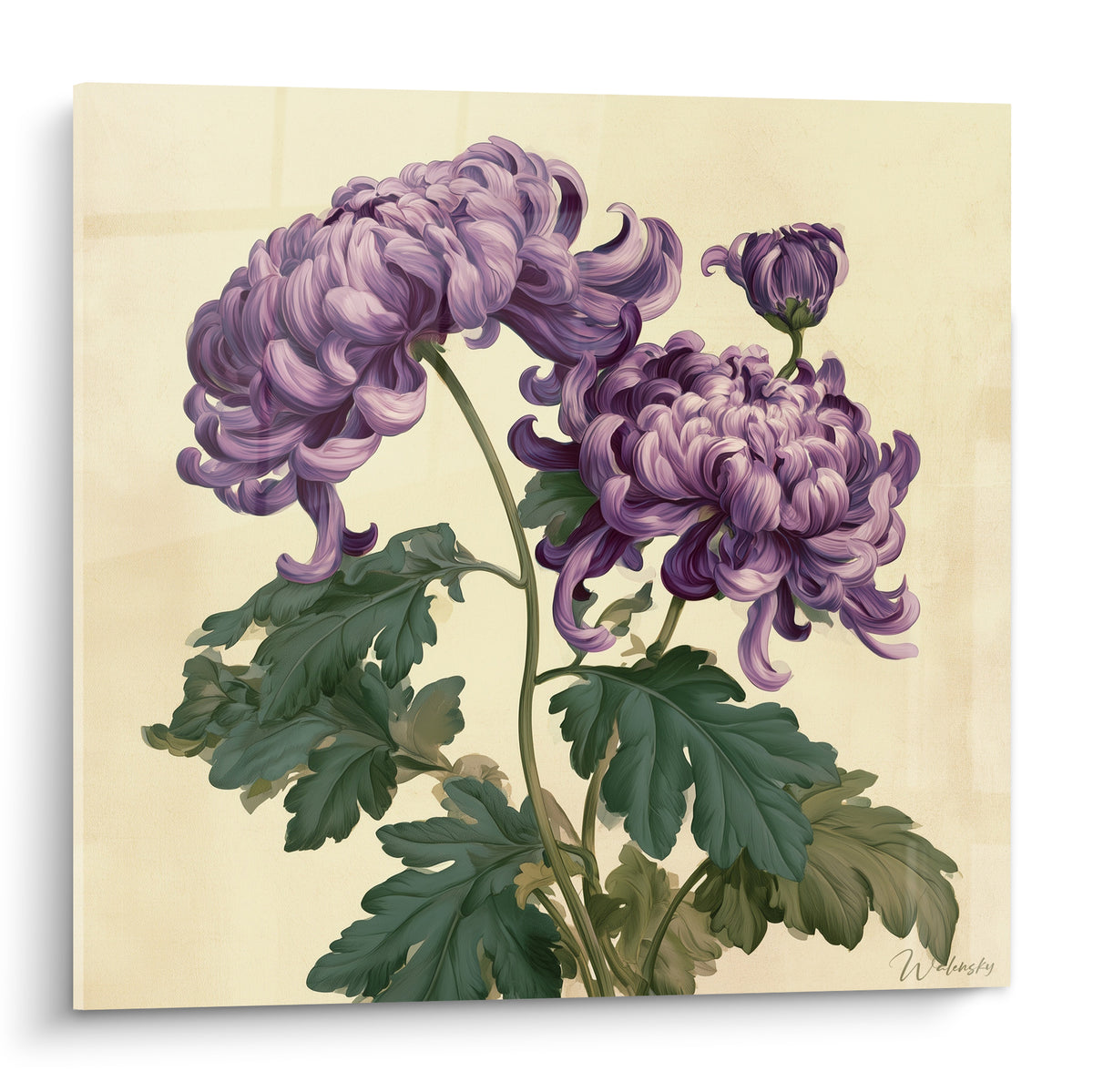 Chrysanthème violet aux pétales incurvés peint sur un fond ivoire texturé et lumineux