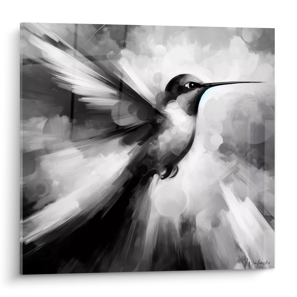 Colibri noir et blanc aux ailes déployées, bec fin, touche bleu pastel sur la gorge