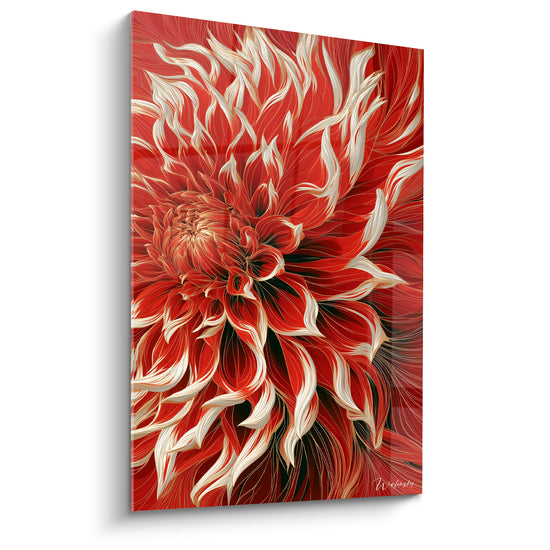 Dahlia rouge vif et blanc ivoire aux pétales flammés, gros plan floral sur toile