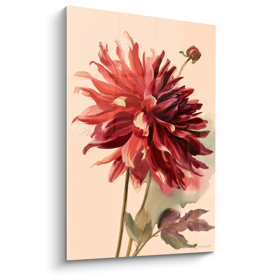 Tableau Dahlia rouge et bordeaux en fleur - Éclosion veloutée - Edition Dahlia