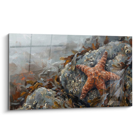 Tableau Étoile de mer rouge sur rochers gris parmi algues brunes - Vie marine - Edition Etoile de mer