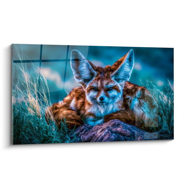 Tableau Fennec roux et bleu couché sur un rocher - Regard perçant dans les herbes - Edition Fennec