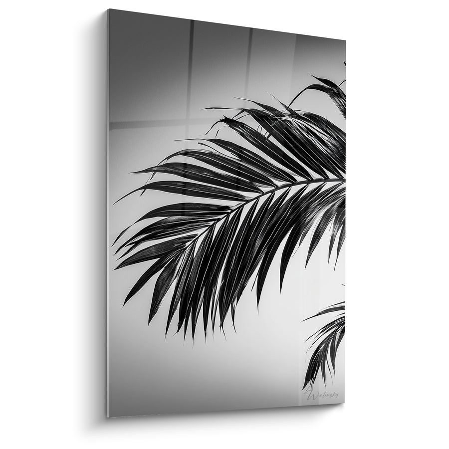 Tableau Palme noire aux fines nervures argentées - Ombre végétale - Edition Feuille de palmier