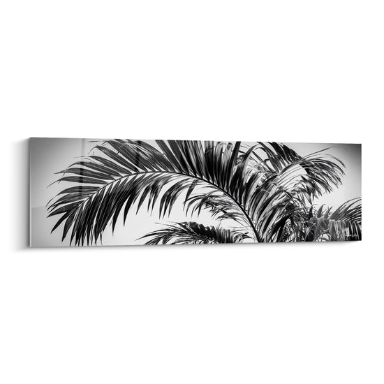 Tableau Palmier noir et blanc aux frondes retombantes en arche - Ciel laiteux diffus - Edition Feuille de palmier