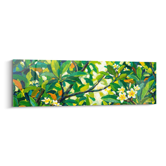 Tableau Frangipanier vert et blanc sous la lumière - Lumière tropicale - Edition Fleur