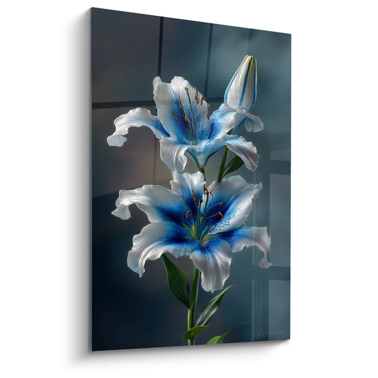 Lys blanc aux cœurs bleu marine, pétales veinés, fond anthracite en plein cadre
