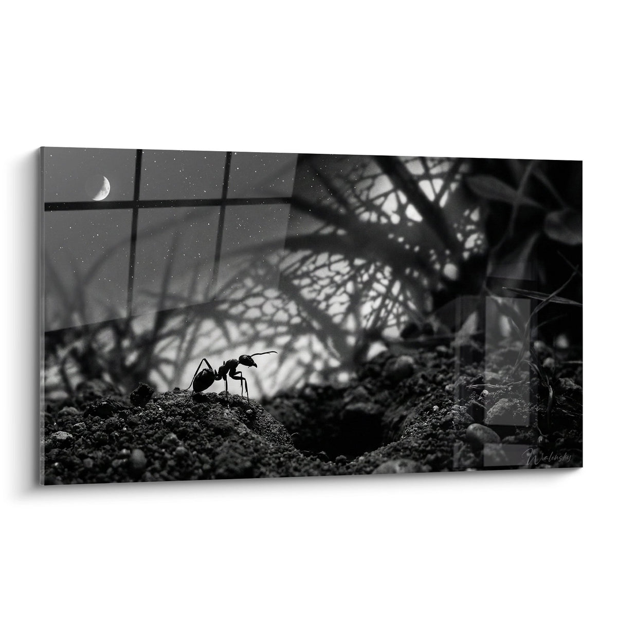 Tableau noir et blanc fourmi solitaire sous ciel etoile avec lune croissante ambiance nocturne contemplative