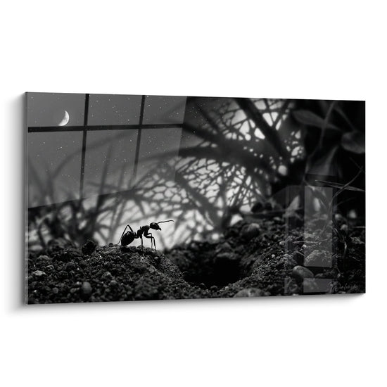 Tableau noir et blanc fourmi solitaire sous ciel etoile avec lune croissante ambiance nocturne contemplative
