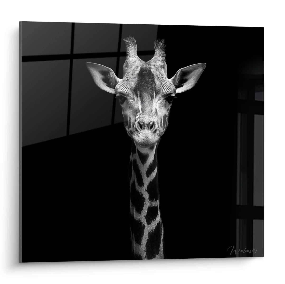 Tableau girafe noir et blanc portrait expressif regard captivant décoration murale moderne