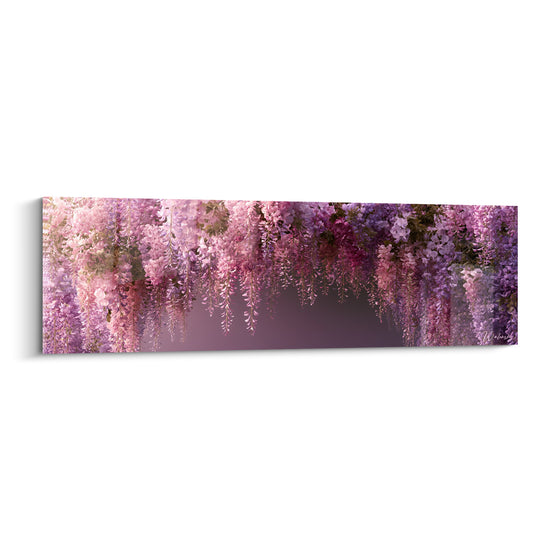Glycine en cascade rose et mauve, grappes florales denses formant une voûte lumineuse