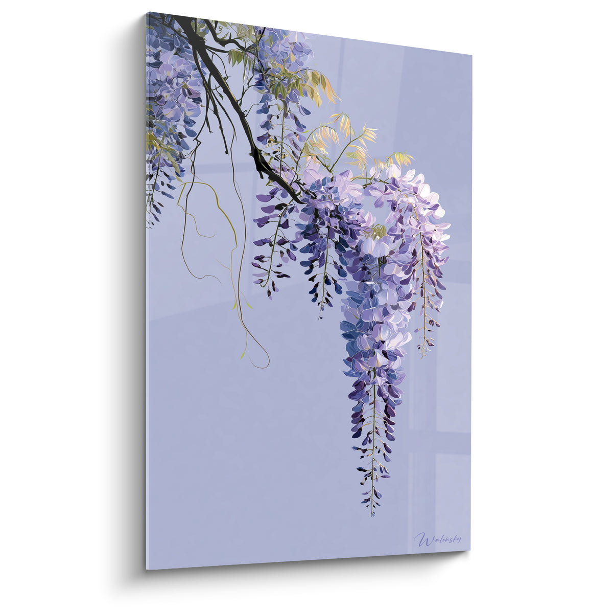 Glycine aux grappes violettes et lilas suspendues sur fond lavande pâle, branche noire sinueuse