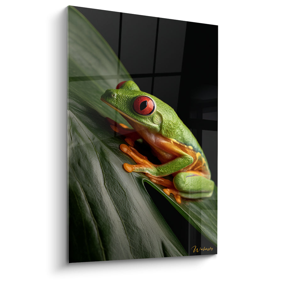 Tableau Rainette verte et orangée sur feuille penchée - Fond vitré sombre - Edition grenouille