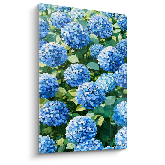 Hortensias bleus en grappes denses, feuillage vert sauge et touches blanches en pleine lumière