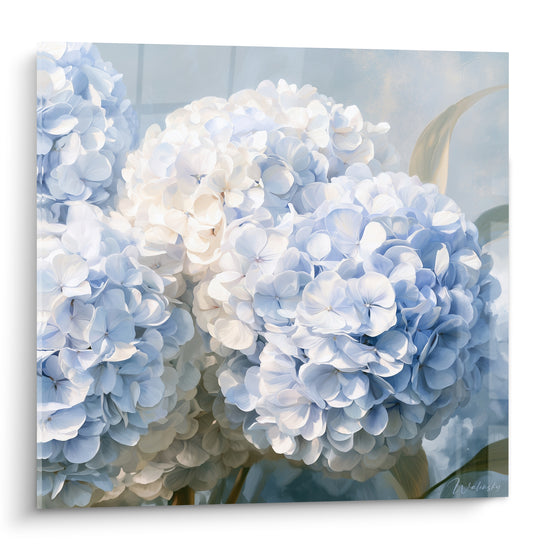Hortensias bleu poudré et blanc laiteux en gros plan, pétales délicats et lumière douce