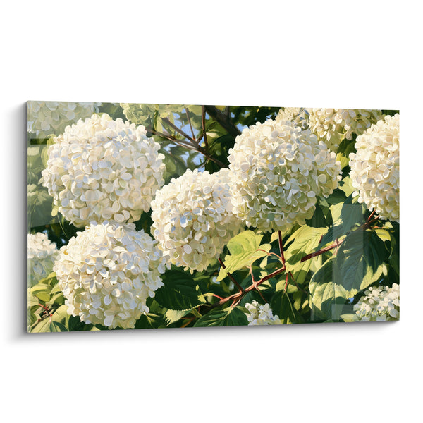 Tableau Hortensias blancs aux feuilles vertes - Éclosion du matin - Edition Hortensia