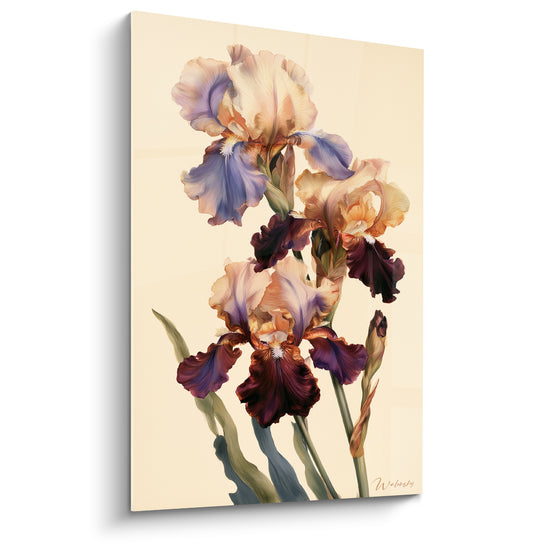 Iris aux pétales lavande et bordeaux, trois fleurs déployées sur un fond ivoire doux et lumineux