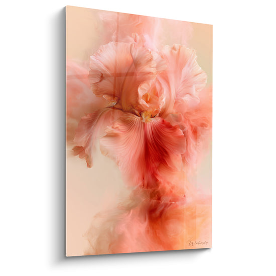 Tableau Iris rose et corail se dissolvant en fumée - Pétales évanescents - Edition Iris