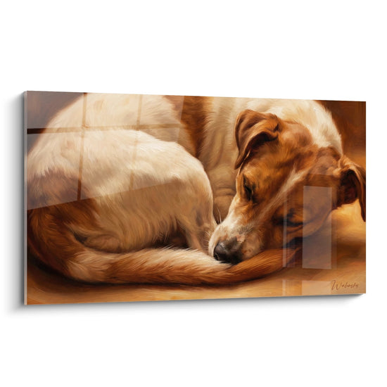 Tableau jack russell terrier endormi position lovee tons dores ambre pelage tricolore realiste art animalier