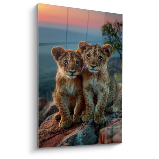 Deux lionceaux dorés assis sur rochers ocre au coucher de soleil, pelages cuivrés dans lumière chaude crépusculaire