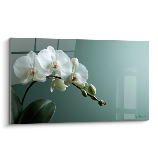 Tableau Orchidée blanche aux boutons vert tendre - Souffle apaisant - Edition Orchidée