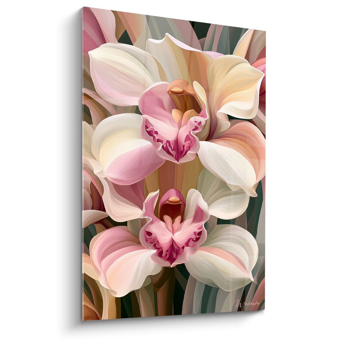 Orchidée ivoire et rose aux pétales veloutés, gorge pourpre profonde en pleine floraison