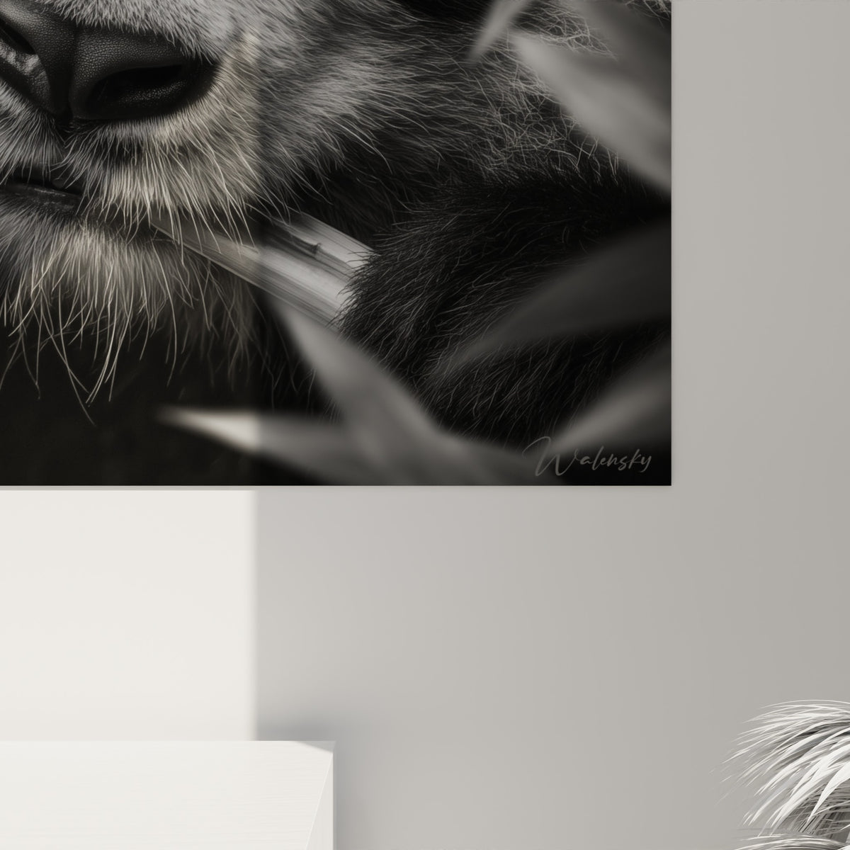 Grain et détails du pelage blanc et anthracite du panda, moustaches et griffes visibles de près