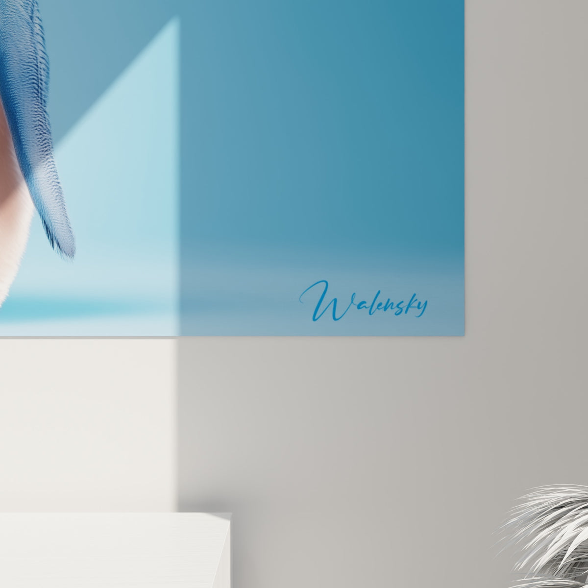 Détail du plumage bleu marine et blanc nacré du manchot, grain lisse et touches dorées visibles à l'impression