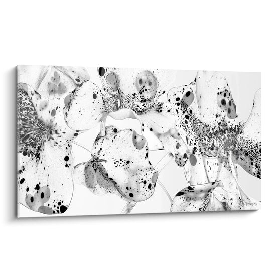 Tableau tacheté noir et blanc de fleurs par Walensky, décor moderne pour votre intérieur