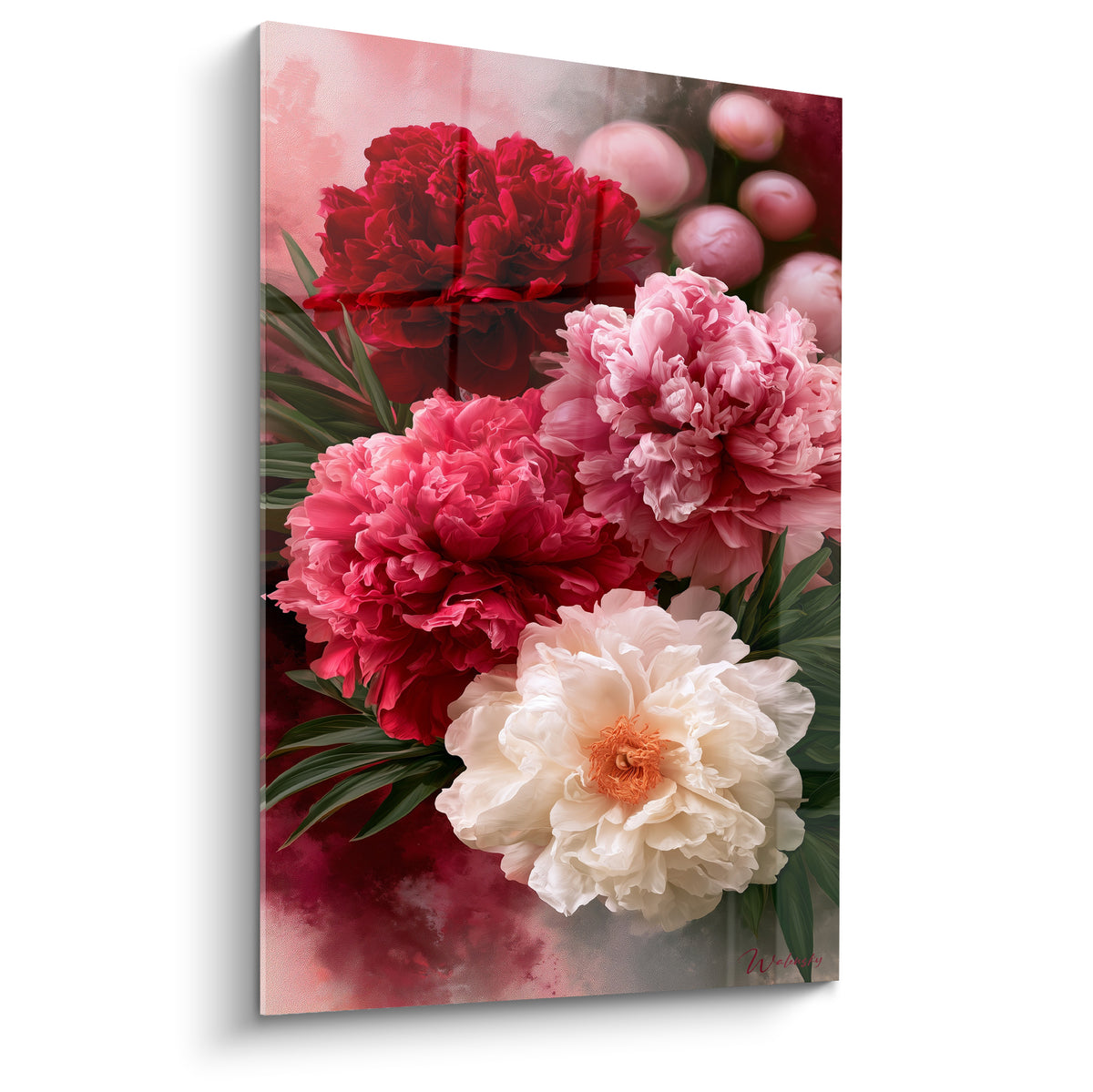 Pivoines rouge bordeaux, rose fuchsia et blanc crème en bouquet dense sur fond dégradé