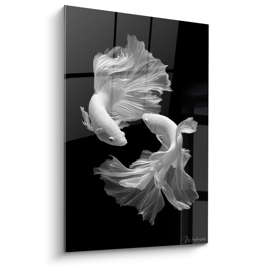 Tableau Poissons Betta - Danse Aquatique Élégante - Edition animaux noir et blanc