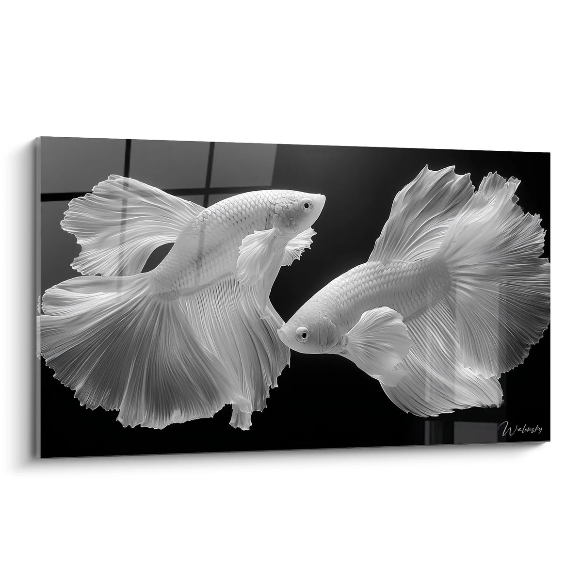 Tableau poissons combattants noir et blanc avec nageoires déployées décoration murale moderne