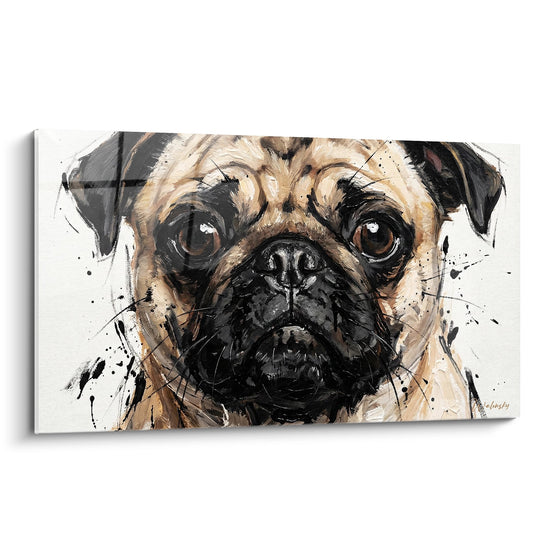 Portrait expressif de Carlin aux tons beige et noir avec projections de peinture sur fond blanc