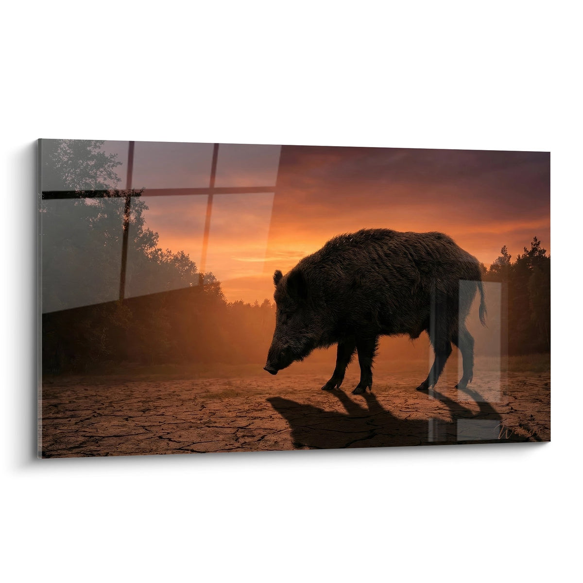 Tableau sanglier silhouette coucher soleil tons oranges nature sauvage decoration murale
