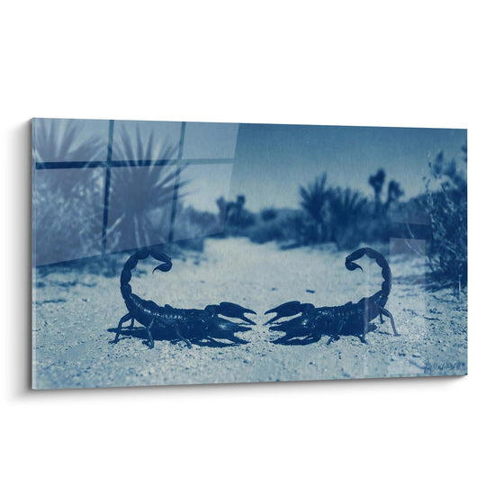 Deux scorpions face à face dans désert aux teintes bleues, photographie artistique monochrome confrontation