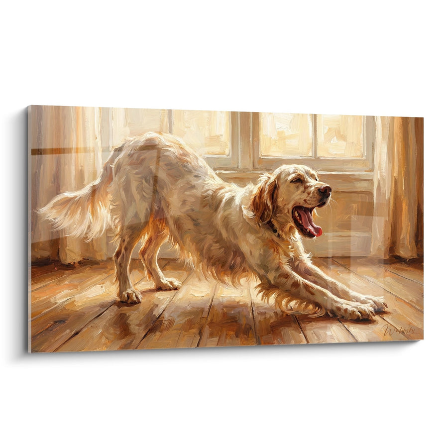 Tableau Chien Setter s'Étirant dans Lumière Dorée - Réveil Joyeux - Edition Setter Anglais