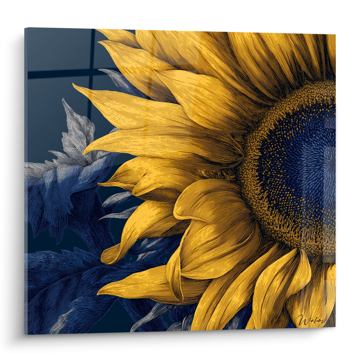 Tournesol doré aux pétales détaillés sur fond bleu marine, style gravure botanique raffinée