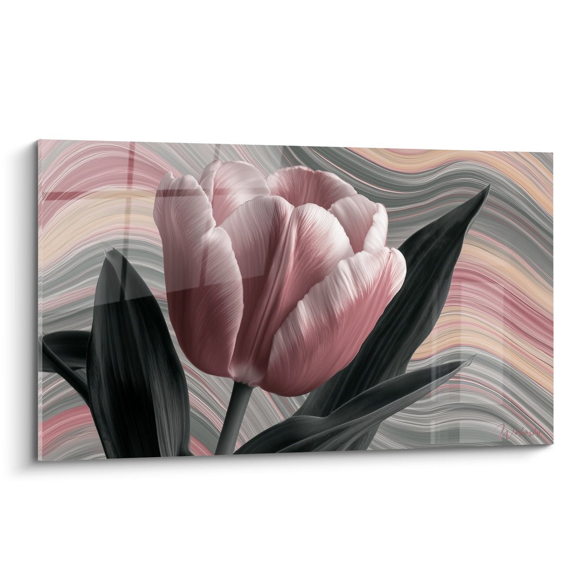 Tulipe rose poudré aux feuilles anthracite se déployant sur un fond ondulé gris et ocre