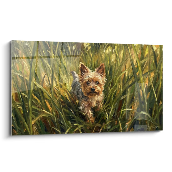 Tableau Yorkshire Terrier aux poils dorés explorant de hautes herbes vertes dans un style pictural réaliste